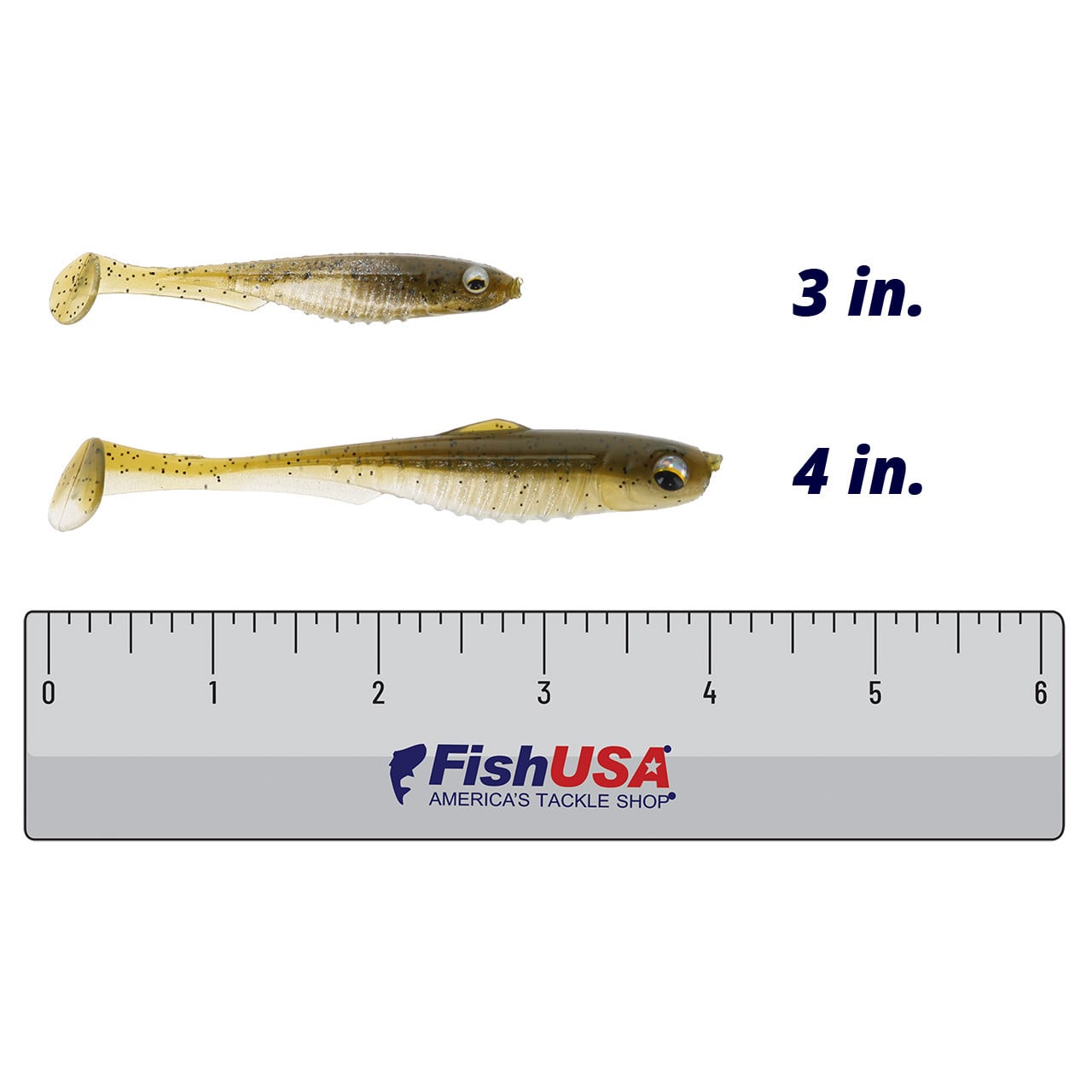 6th Sense Party Minnow color Green Pumpkin Shad in both sizes (3 in., 4 in.) above a 6 inch FishUSA ruler