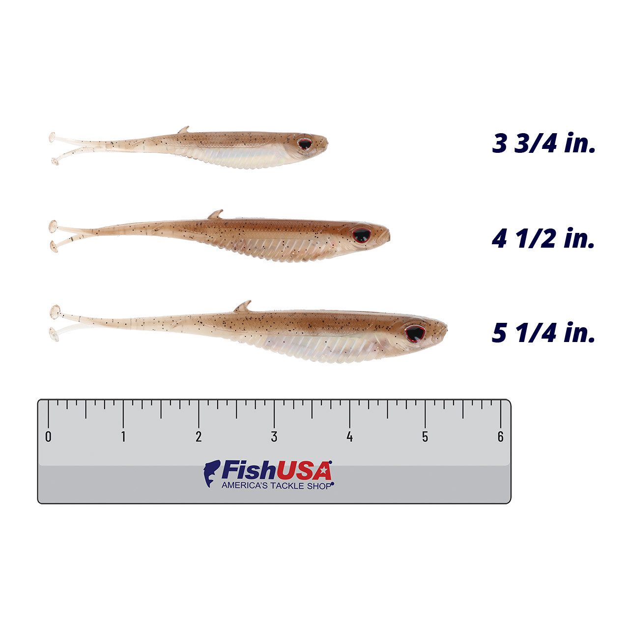 Nomad Design Live Ops Wingman Mirage X Softbait color Arkansas Shiner in all sizes (3 3/4 in., 4 1/2 in., 5 1/4 in.) above a 6 inch FishUSA ruler