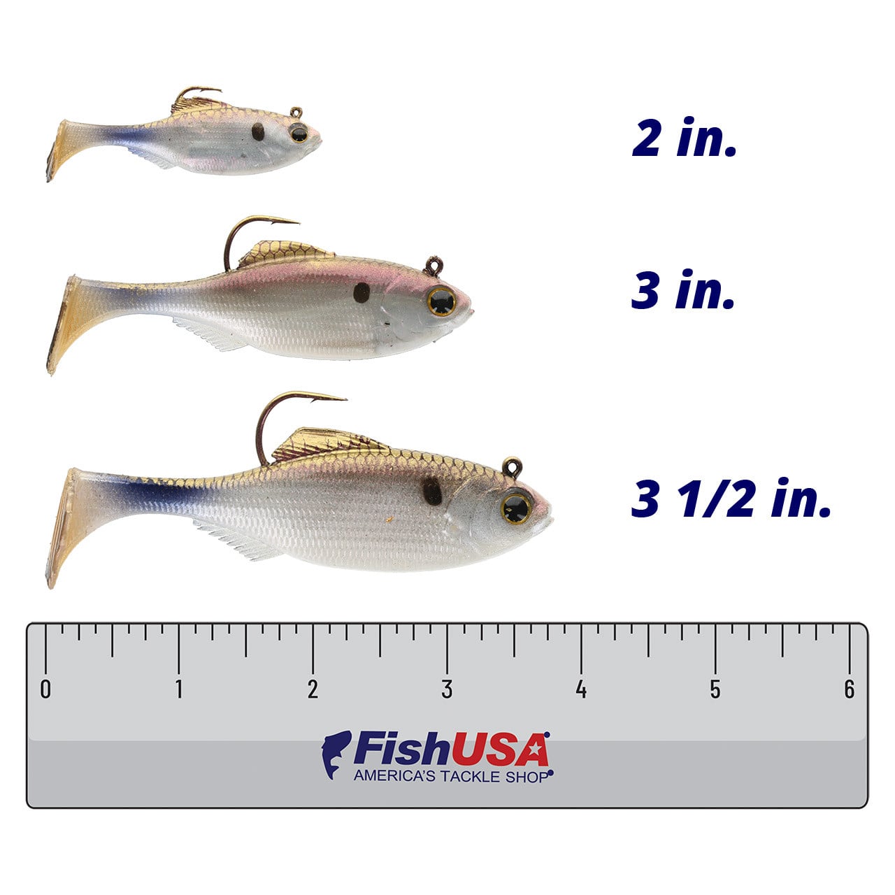 6th Sense Rigged Panorama Swimbait color 4K Shad in all sizes (2 in., 3in., 3 1/2 in.) above a 6 inch FishUSA ruler