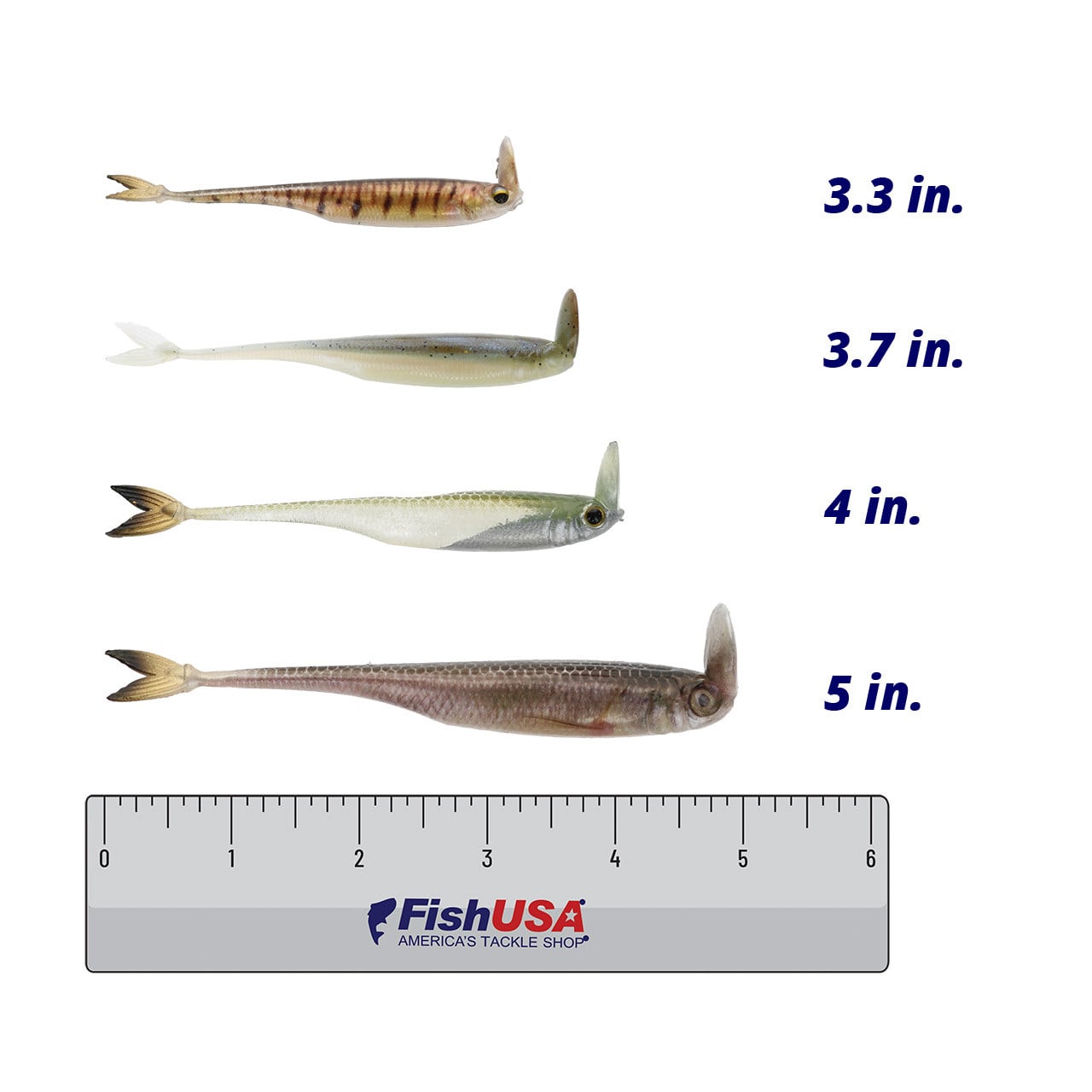 6th Sense Strobe Shaker in colors Log Perch (3.3 in.), Hasu (3.7 in.), Olive Flash (4 in.), Live Minnow (5 in.) above  a6 inch FishUSA ruler