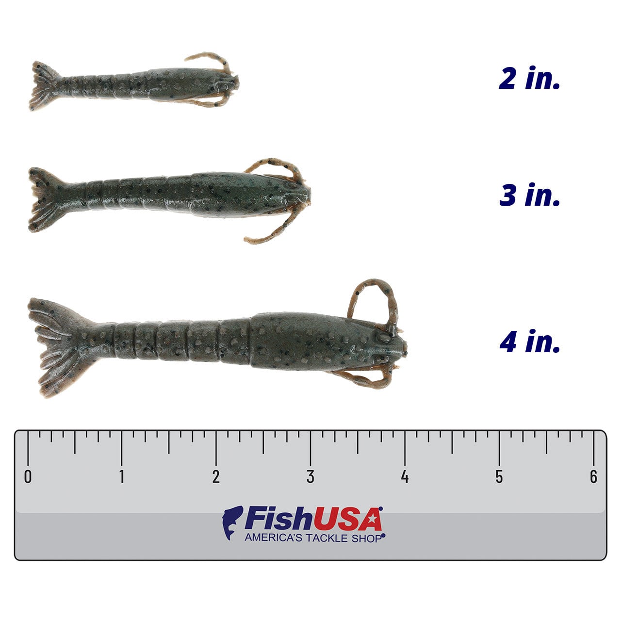 Berkley Gulp! Saltwater Shrimp color Natural Shrimp in all sizes (2in., 3in., 4in.) above a 6 inch FishUSA ruler