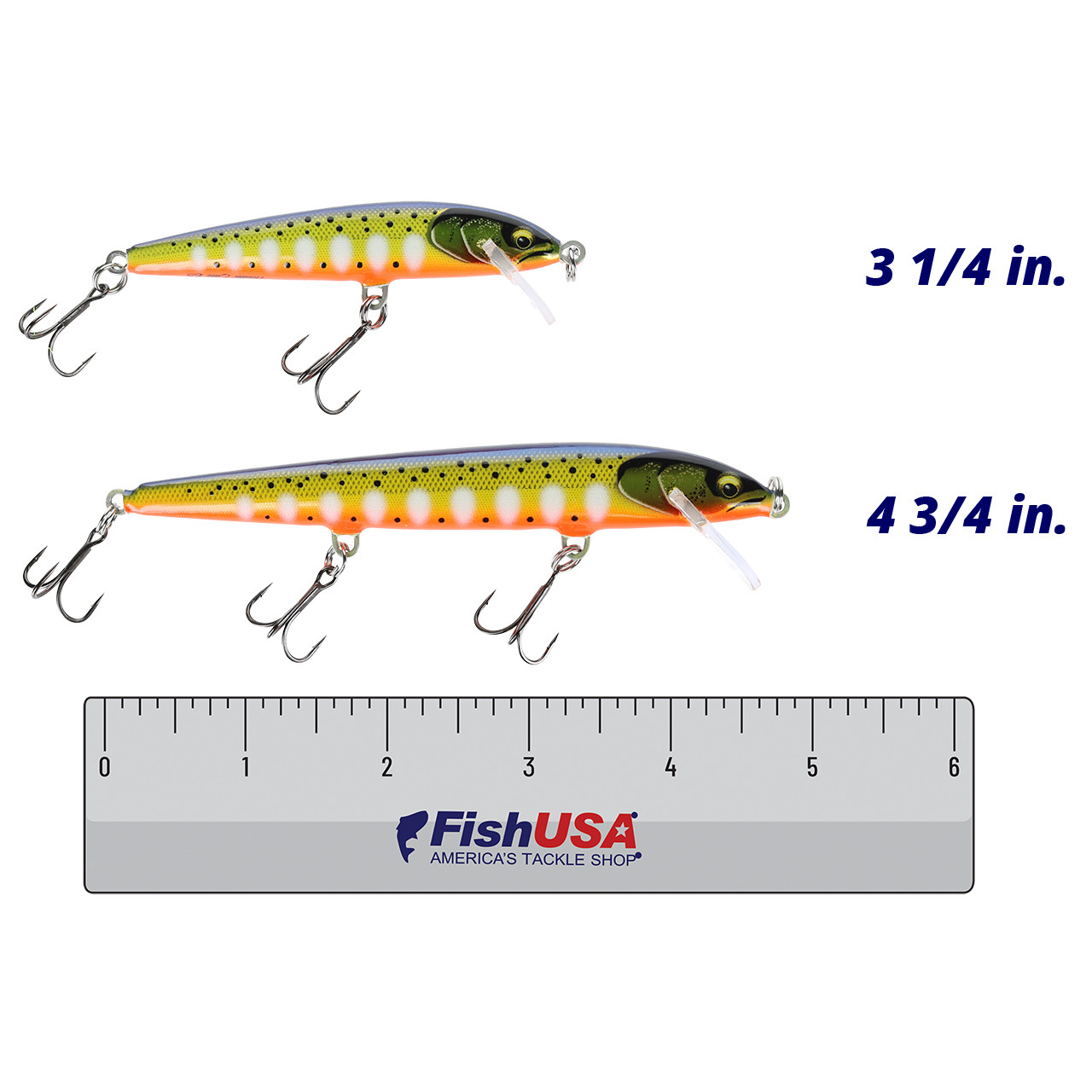 Rapala Floater Elite Hardbait color Gilded Hot Steel in bot sizes (3 1/4in., 4 3/4 in.) above a 6 inch FishUSA ruler