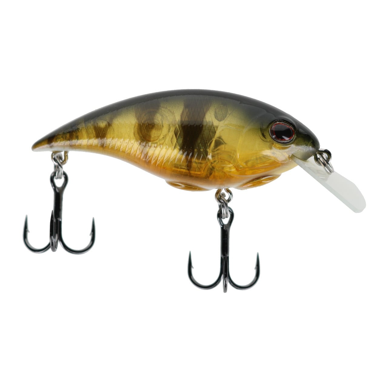 Berkley Shallow Money Badger Crankbait color Perch