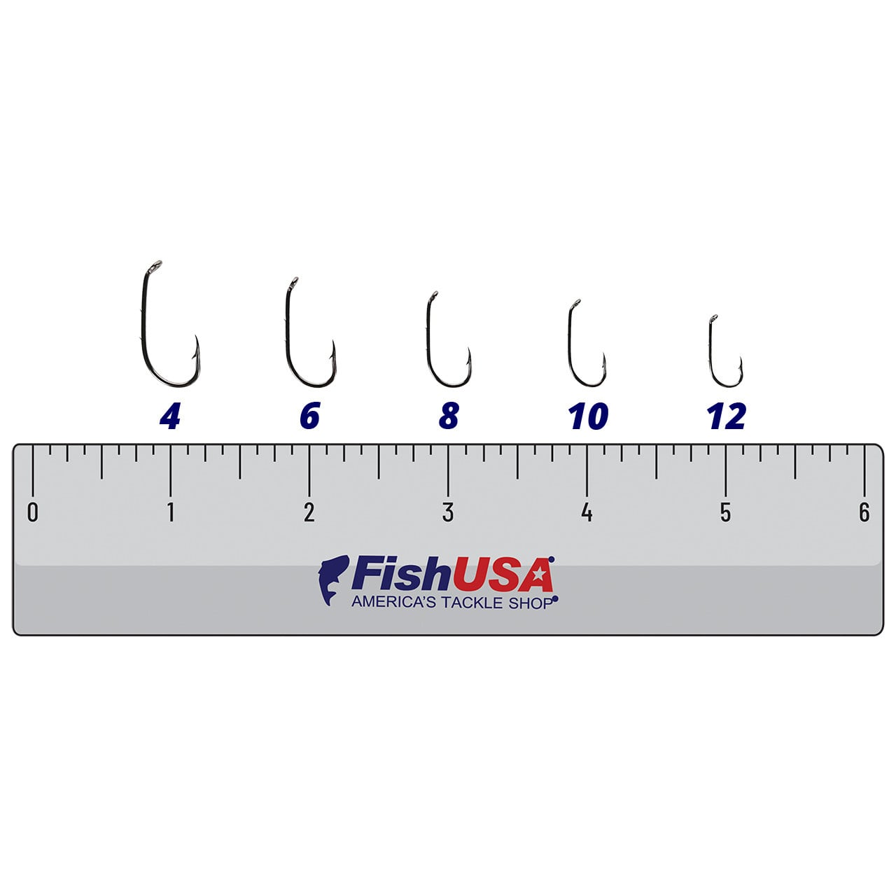 FishUSA Baitholder Hooks in all sizes (4, 6, 8, 10, 12) above a 6 inch FishUSA ruler