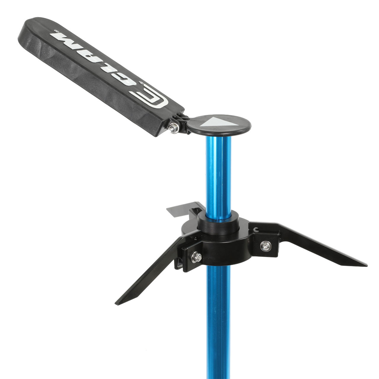 Clam Live Imaging Pole top view