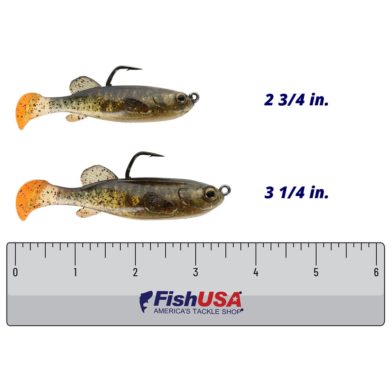 Z-Man MudStudZ color Redfish Toad in both sizes (2 3/4 in., 3 1/4 in.) above a 6 inch FishUSA ruler