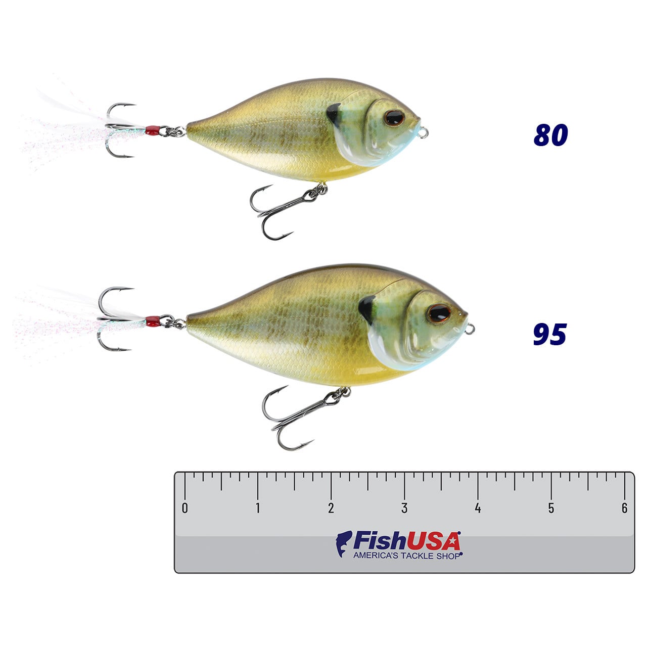 Berkley SlapGill Topwater Lure color Female Gill in both sizes (80, 95) above a 6 inch FishUSA ruler