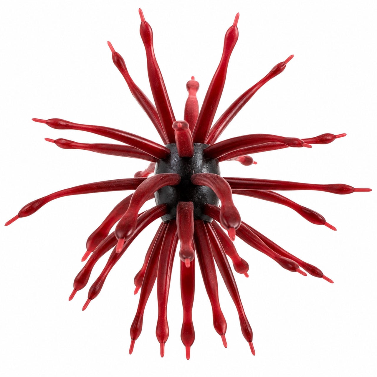 6th Sense Abstract Sumo Urchin Bait color Scuppernong