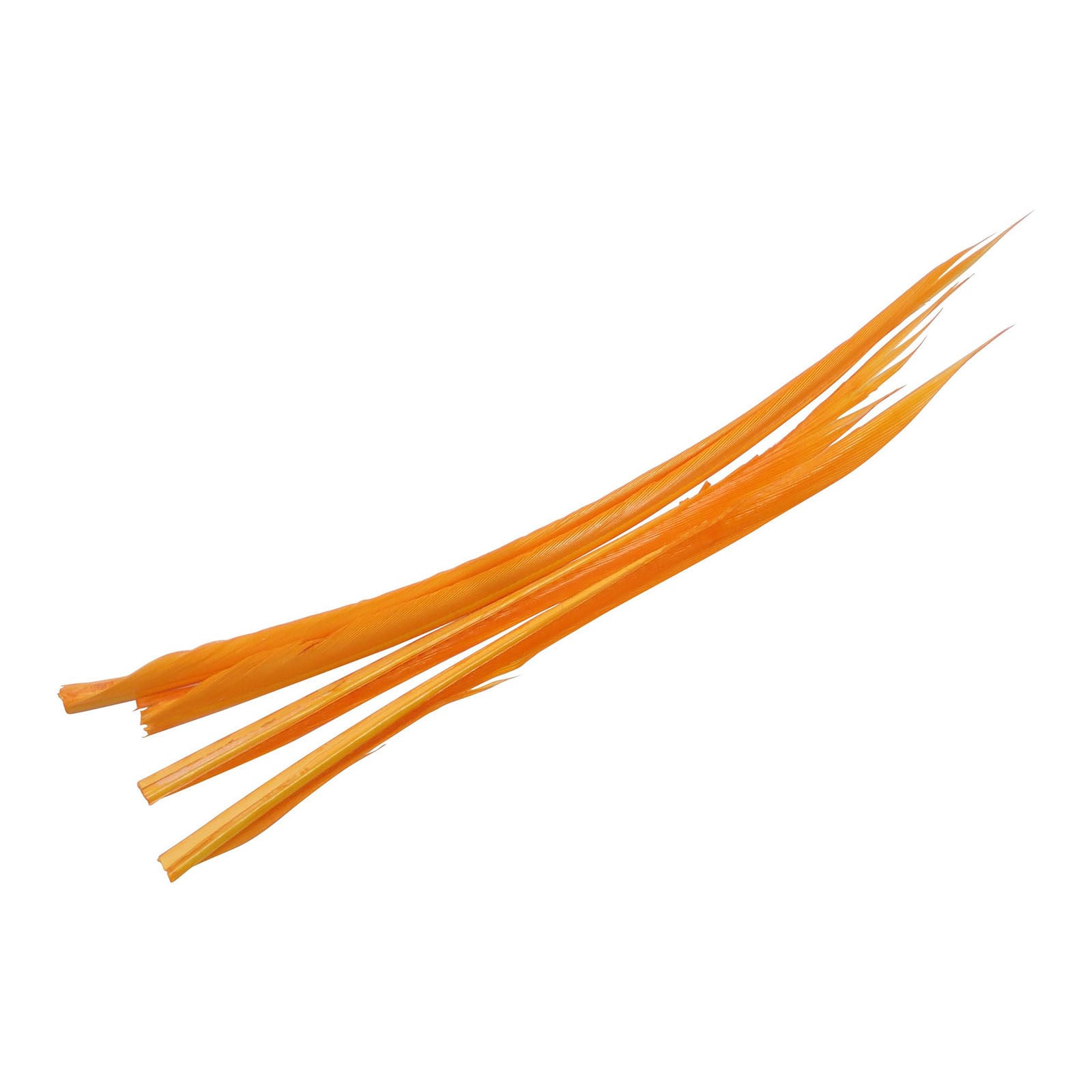Wapsi Turkey Biots color Sulphur Orange