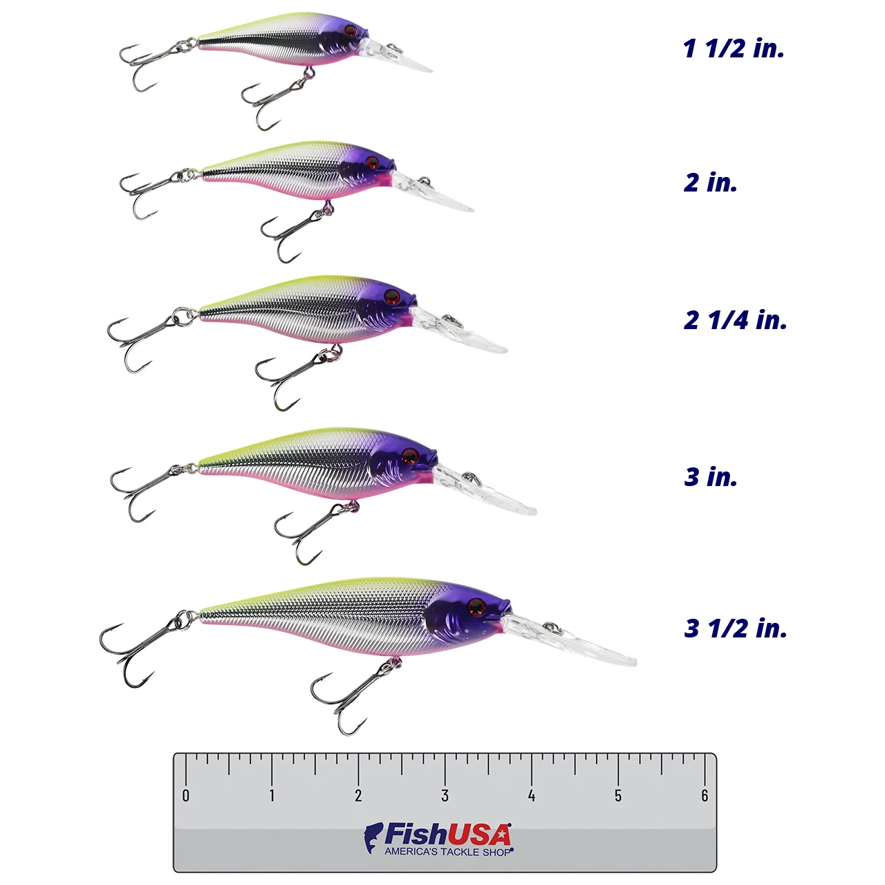Berkley Flicker Shad Crankbait color Jester in all sizes (1 1/2 in., 2 in., 2 1/4 in., 3 in., 3 1/2 in.) above a 6 inch FishUSA ruler
