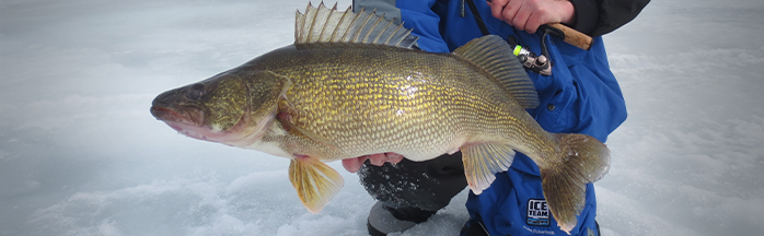 Early to Mid-Season Ice Fishing for Walleye: Locations, Patterns, and Proven Tactics