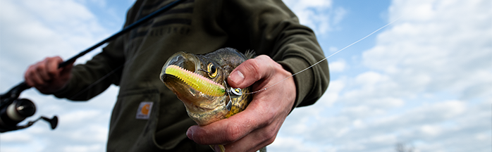 Bank Fishing for Crappie: Tips, Techniques, and Strategies