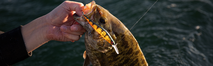 The Best Bass Fishing Retrieval Methods for Different Lures & Conditions