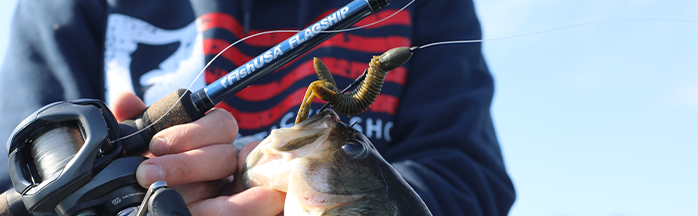 Best Bass Fishing Rods: Top Casting & Spinning Rods