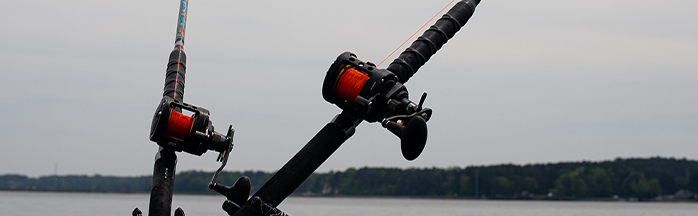 Best Catfish Reels: Expert Picks for Blues, Channels, and Flatheads