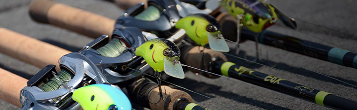 Best Crankbait Reels for Bass Fishing