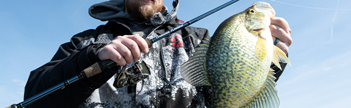 Best Crappie Reels for Every Angler: Our Top Picks