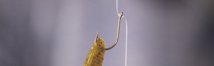 Best Drop Shot Hooks for Bass: Reliable Picks for Finesse Rigging and Solid Hooksets