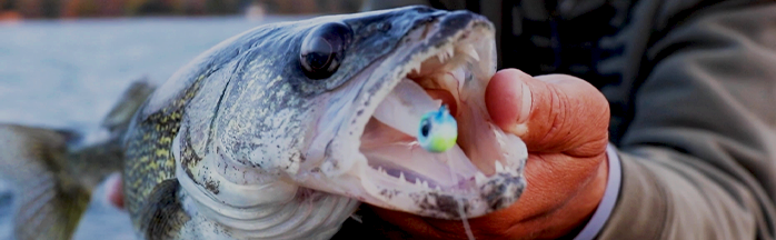 Best Fall Walleye Fishing Lures: Proven Baits and Techniques for Success