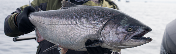 Best Gifts for Salmon Fishermen: Gear and Gadgets They’ll Love