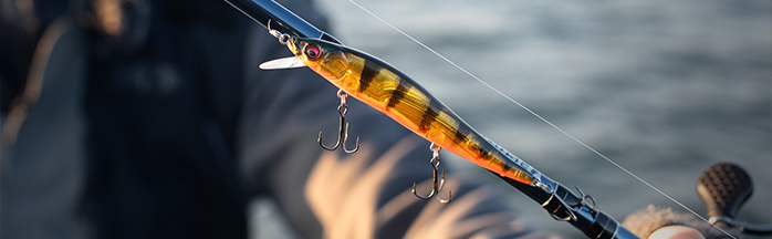 The Best Jerkbait Rods: Precision Picks for Every Angler