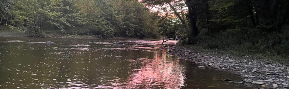 ​Best Lures for River Fishing