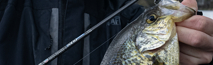 Light Tackle, Big Fun: The Best Rods for Panfish Fishing