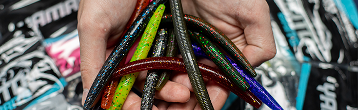 Best Senko Colors for Bass Fishing: A Complete Guide