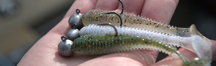 Best Soft Plastics for Bass: Proven Picks That Trigger More Strikes