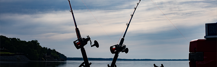 Best Time to Fish for Catfish: Seasons, Daily Windows, Weather, and Water Tips
