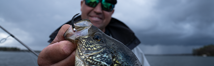 Best Time to Fish for Crappie: Seasonal and Daily Insights