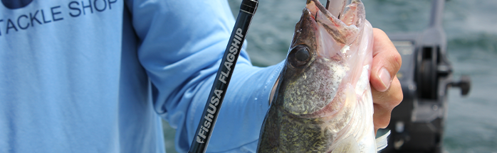 Best Walleye Rods: Top Jigging, Spinning, and Trolling Options