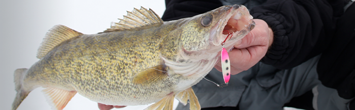 Big-Water Ice Fishing: Tactics for the Great Lakes and Large Reservoirs