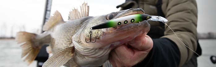Complete Cold-Water Jerkbait Setup for Walleye