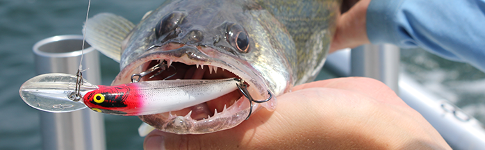 The Importance of Tuning Crankbaits