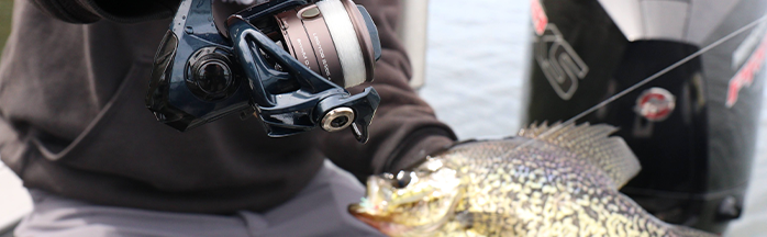 Best Crappie Rod and Reel Combos: Ultimate Buying Guide
