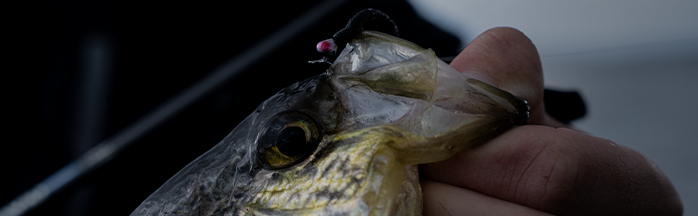 Mastering Crappie Fishing at Night: Tips and Techniques for Success