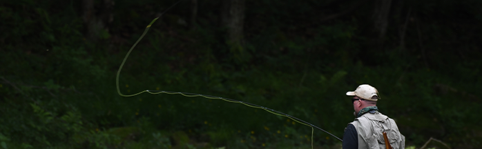 Fly Fishing for Beginners: Gear, Flies, and Tips to Get Started