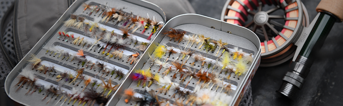 A Beginner's Guide to Fly Tying