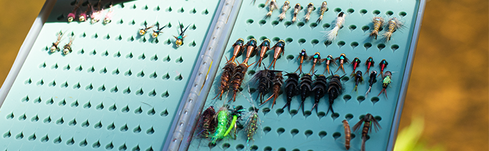 Fly Tying for Beginners: A Comprehensive Guide to Getting Started