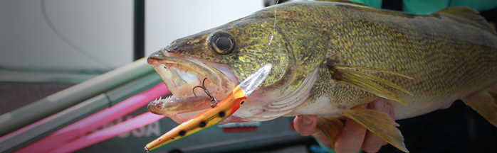How to Tune a Crankbait for Perfect Performance