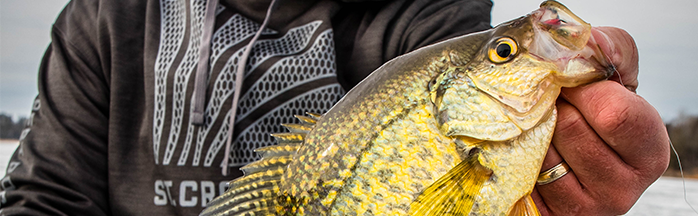 Ice Fishing for Crappie: Tips, Techniques, and Gear