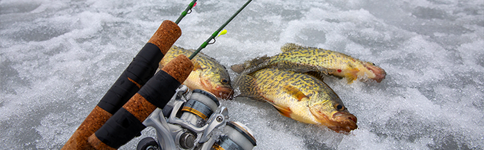 Ice Fishing With Plastics: How to Rig, Fish, and Catch More All Winter