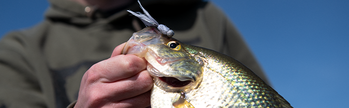 Mastering Spider Rigging for Crappie: The Ultimate Angler's Guide