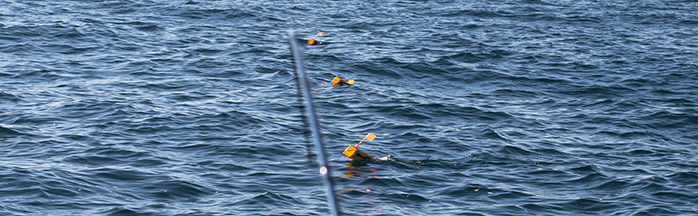 Planer Boards 101: Simple First Walleye Trolling Spread (No Tangles)