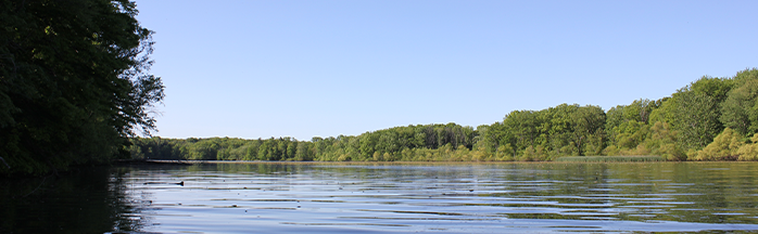 Pond Fishing for Bass: A Complete Guide