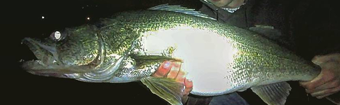 Casting for Walleye from Shore at Night