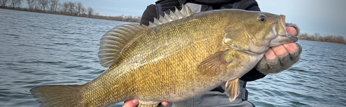 Spring Bass Fishing: A Complete Guide