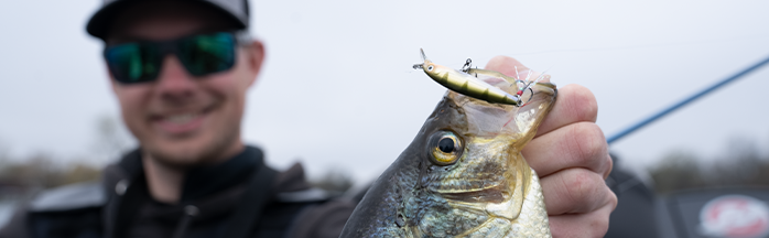 Spring Crappie Fishing: A Comprehensive Guide