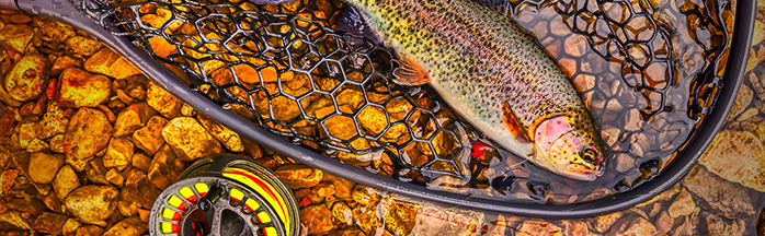 Fishing Spring Creeks For Trout In The Winter